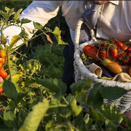 Li Finistreddi Hotel 5*